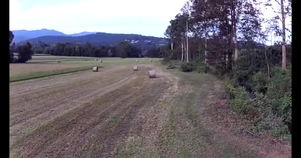 夏季农村干草球线无人驾驶图像2 — 图库视频影像