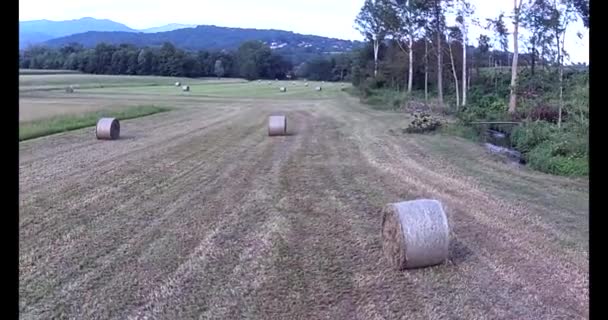 夏の田舎での干し球のラインの無人機の眺め — ストック動画