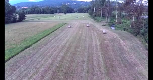 夏の田舎での干し球のラインの無人機の眺め — ストック動画