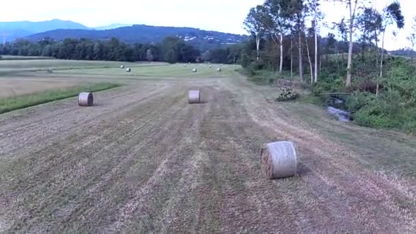 Aerial View Field Has Been Plowed Filled Hay Bales — Stock Video