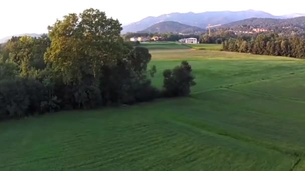 Aerial Beautiful View Green Forest — Stock Video