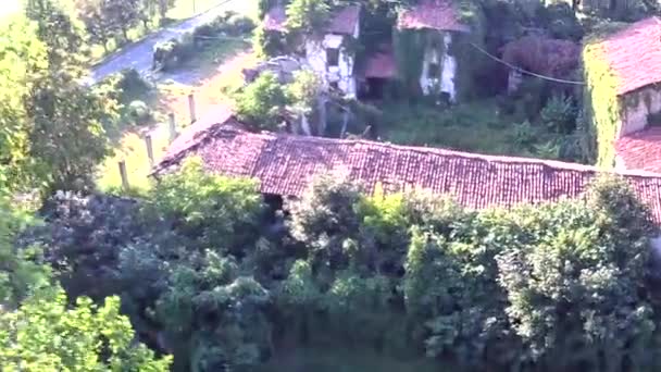 木々に囲まれた放棄された田舎の家を眺める — ストック動画