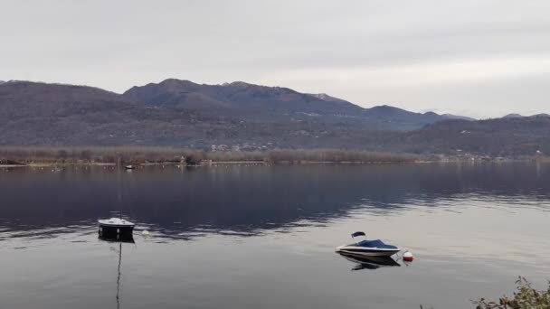 Вражаючий Вид Озерне Узбережжя Села Палланса Озері Маджоре Італії Німий — стокове відео