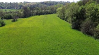 Bahar zamanı yeşil çayır ve ağaçların havadan görünüşü, Polonya.
