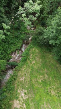 Yeşil vahşi atmosferdeki kıvrımlı nehrin yukarısından peri masalı manzarası