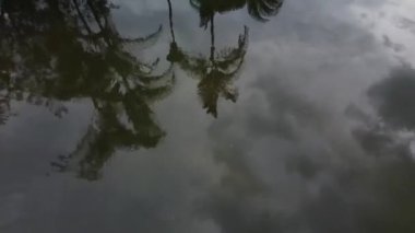 Kolombiya 'nın terk edilmiş parkındaki eski havuz üzerinde uçuyor.