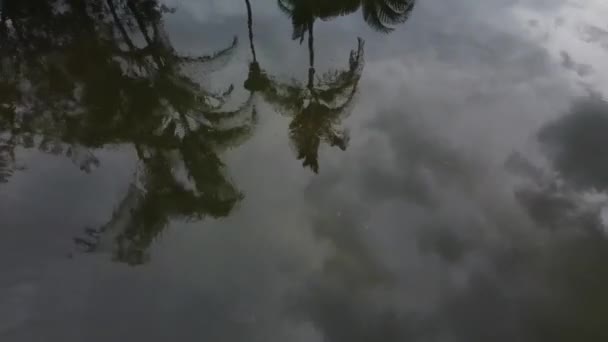 在科洛姆比亚的旅游胜地的废弃公园里 飞越旧游泳池 — 图库视频影像