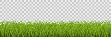 Vektör yeşil çimenler şeffaf arkaplanda izole edilmiş.