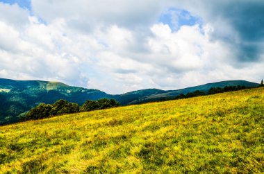 Dağ manzarası. Dağlardaki güzel dağ çayırları.