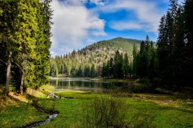 Kamp çadırı ve parlak ışıklı şenlik ateşi. Ormanda kamp yapmak.