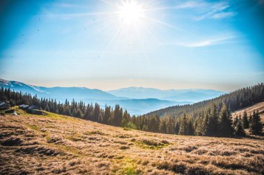 Ukrayna 'daki Karpatların dağ manzarası.