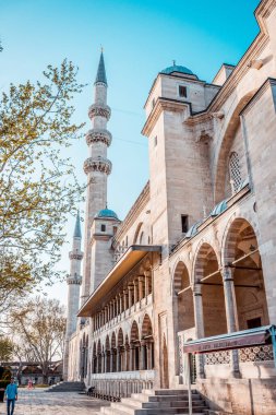 İstanbul manzarası, hindi