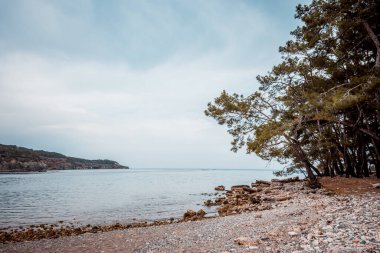 Güzel deniz ve sahil manzarası