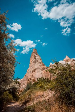 Arkaplanda dağların güzel manzarası