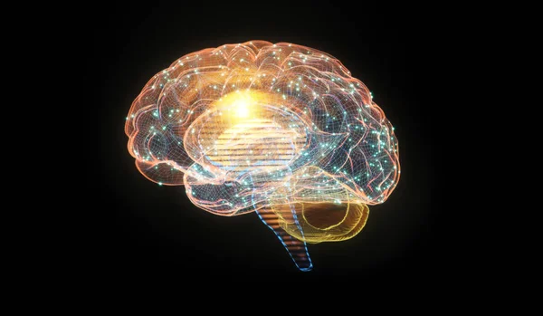 Illustration Wireframe Digital Human Brain Black Background Intelligence Brainstorm Neural — Stock Photo, Image