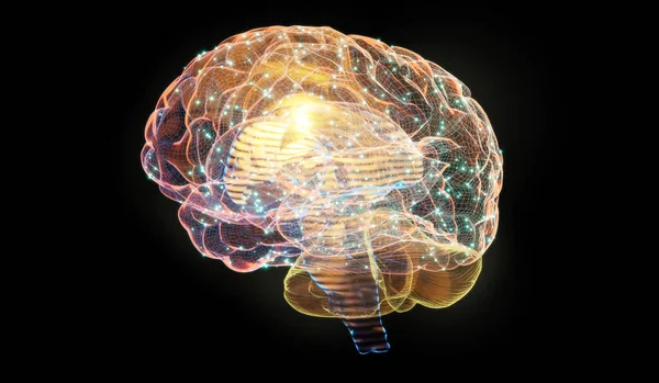 黒の背景にワイヤーフレームデジタル人間の脳の3Dイラスト 神経科学技術の概念 — ストック写真