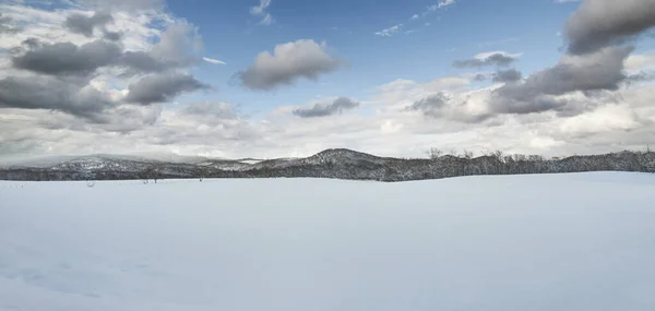 Panoramic View Snow Fields Beautiful Winter Landscape — Stock fotografie