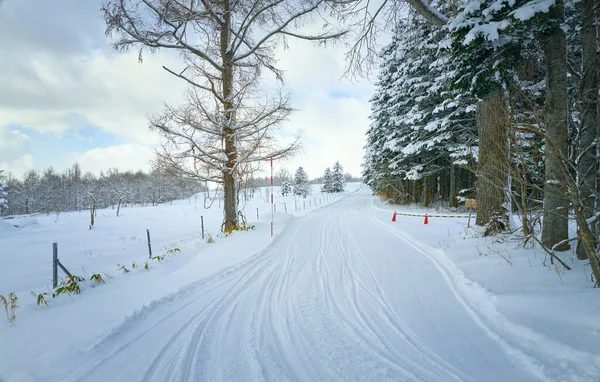 Empty Snow Road Tire Tracks Forest Cloudy Winter Day — Fotografia de Stock