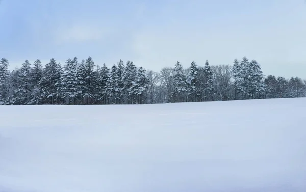 Panoramic View Snow Fields Beautiful Winter Landscape — Fotografia de Stock
