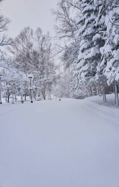 Empty Snow Road Tire Tracks Forest Cloudy Winter Day — Fotografia de Stock
