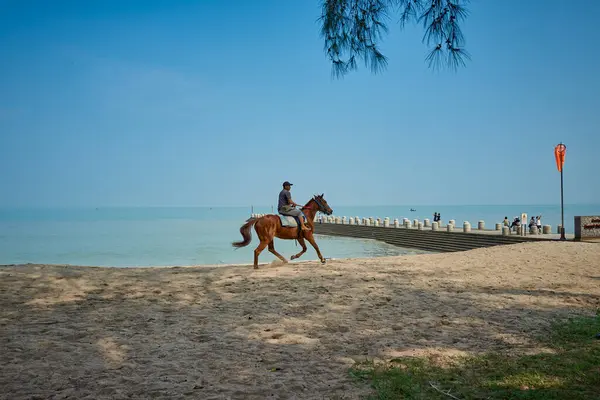 马来西亚槟城 2023年9月29日 游客骑着马在槟城的巴图费林海海滩 — 图库照片