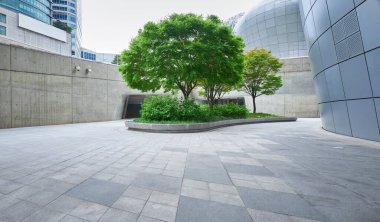 Modern şehir parkında büyüyen ağaçlar ofis binalarıyla çevrili.