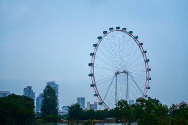Singapur uçucusu alacakaranlık gökyüzüne doğru dönüyor. Arka planda şehrin ufuk çizgisi görünüyor.