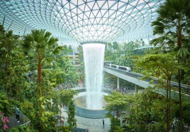 Singapur 'daki Changi Havaalanı' nda çağlayan yağmur girdabı. Etrafı tropikal bitki ve ağaçlarla çevrili.