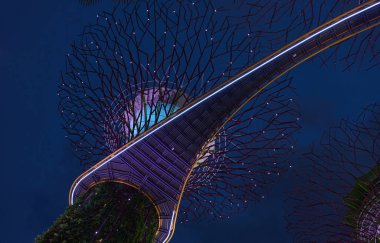 Skyway connecting supertrees glowing at night in gardens by the bay, singapore clipart