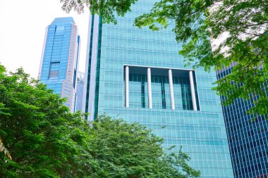 Verimli yeşil ağaçlar, Singapur 'un merkez iş bölgesindeki modern gökdelenlerin parlak cam cephelerini çerçeveleyerek doğanın ve kentsel gelişimin uyumlu bir karışımını sergiliyor.