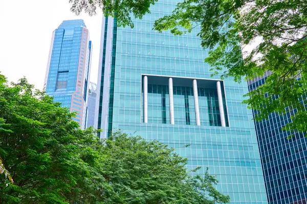 Verimli yeşil ağaçlar, Singapur 'un merkez iş bölgesindeki modern gökdelenlerin parlak cam cephelerini çerçeveleyerek doğanın ve kentsel gelişimin uyumlu bir karışımını sergiliyor.