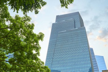 Çağdaş gökdelen, berrak gökyüzünün altındaki canlı yeşil ağaçların yanında yükseliyor.