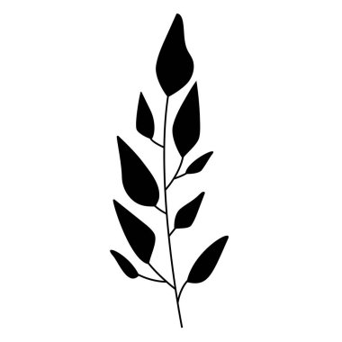 Autumn forest fern eucalyptus art foliage natural leaves herbs in line style. Decorative beauty elegant illustration for design hand drawn flower.