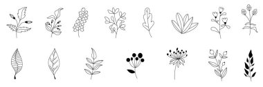 Autumn vector set of black branches and herbs.