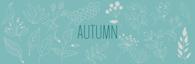 Autumn collection forest art foliage natural leaves herbs in line style. Decorative beauty elegant illustration for design hand drawn flower. Blue background.
