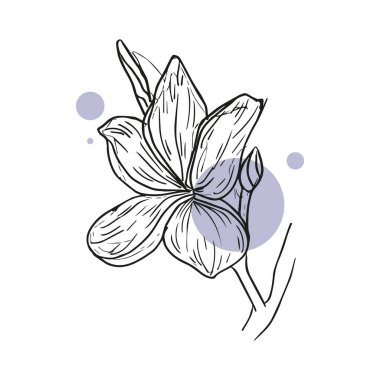 Spring and summer floral elements. Flower and green leaves. Wedding concept - flowers. Floral poster, invite. Vector arrangements for greeting card or invitation design. Isolated white or colorful background and hand drawing icon. valentines day with