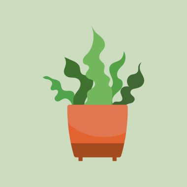 Plant in pot vector illustration. Cartoon flat different indoor potted decorative houseplants for interior home or office decoration, green garden floral collection icons isolated.