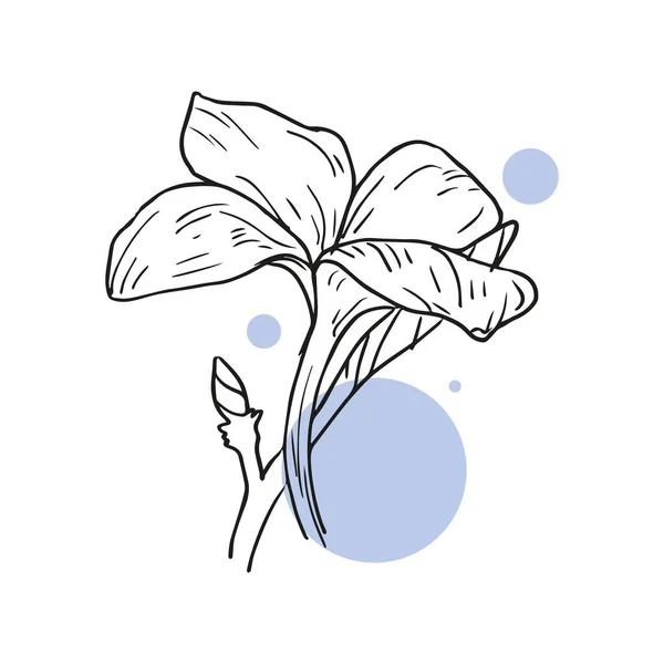 Éléments Floraux Printemps Été Fleur Feuilles Vertes Concept Mariage Fleurs — Image vectorielle