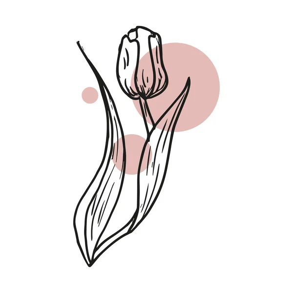 Croquis Floral Botany Printemps Fleur Été Dessins Fleurs Magnolia Noir — Image vectorielle