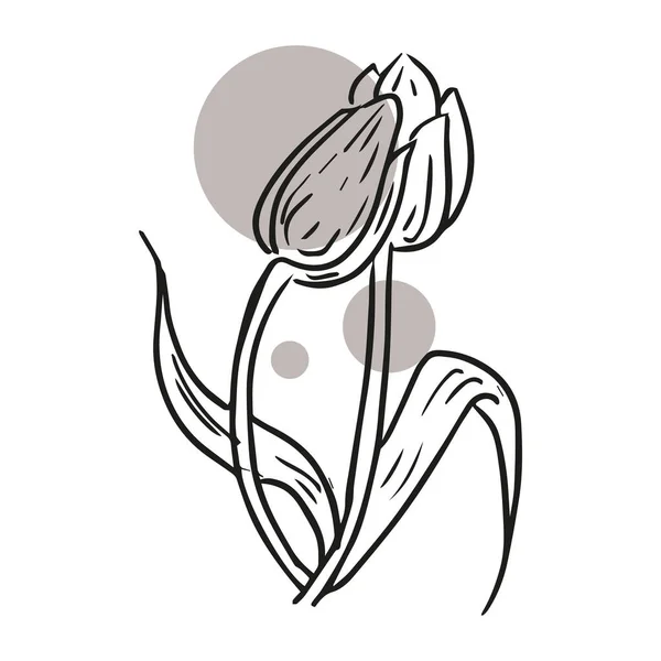 Croquis Floral Botany Printemps Fleur Été Dessins Fleurs Magnolia Noir — Image vectorielle