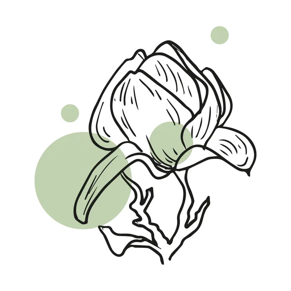 Vector Bouquet Doodle Hand Drawn Magnolia Spring Summer Flowers Birds — 스톡 벡터