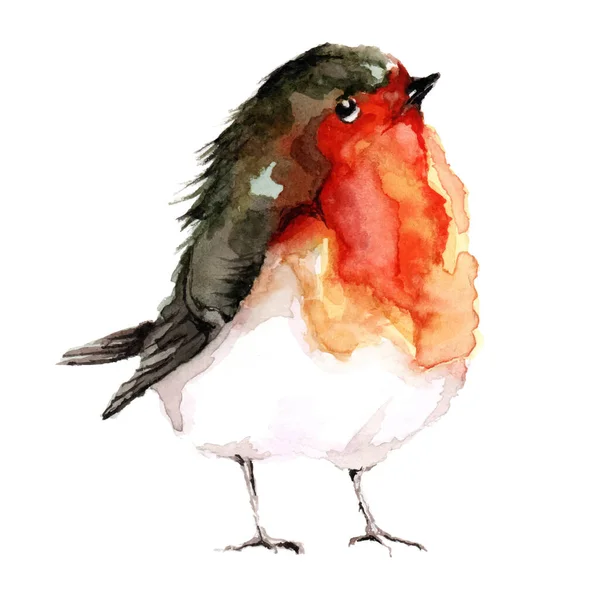 Cute Sweet Bird Your Design Wallpaper Vector Watercolor Art Illustration — Stock Vector