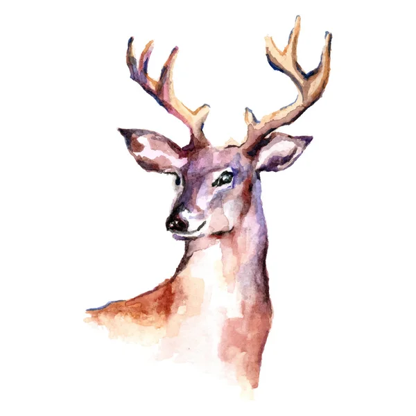 白色背景下的水彩鹿 壁纸上的矢量卡通动物插图艺术 — 图库矢量图片