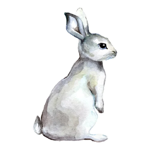Cartoon Kaninchen Aquarell Vektor Illustration Isoliert Auf Weißem Hintergrund Tapete — Stockvektor