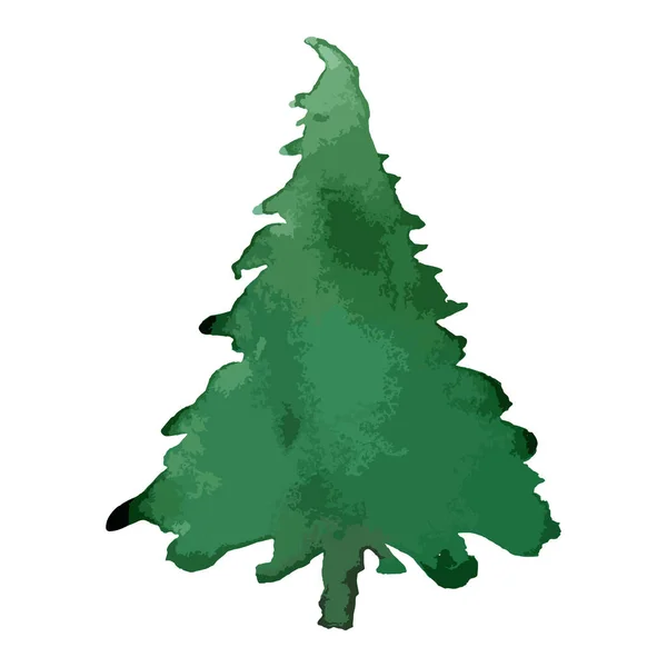 Рождественская Елка Акварель Векторная Вечнозеленая Иллюстрация Дерева Изолированный Новый Год — стоковый вектор
