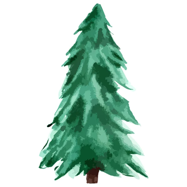 Christmas Tree Watercolor Art Vector Evergreen Tree Illustration Isolated New — Stock Vector