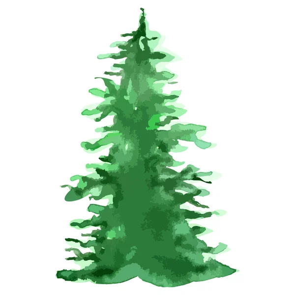 Aquarela Vetor Árvore Natal Ilustração Evergreen Ano Novo Isolado — Vetor de Stock