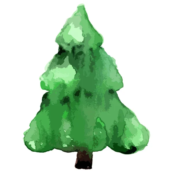 水彩ベクトルクリスマスツリー エバーグリーンイラスト 分離された新年 — ストックベクタ