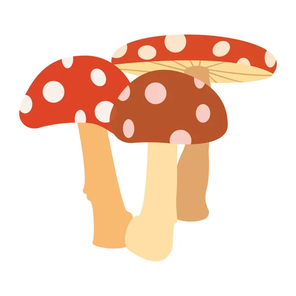 秋天的图标集 秋天树叶和蘑菇在草丛中 自然符号向量集合孤立的白色背景上 蘑菇矢量插图合集 — 图库矢量图片