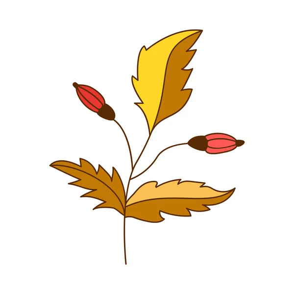 采购产品设计花卉元素 黄色的花 玫瑰蜂窝 叶子和秋天的枝条 矢量插图的老式风格 — 图库矢量图片